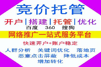 成功案例分享：SEM推广策略的制定与执行